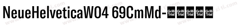 NeueHelveticaW04 69CmMd字体转换